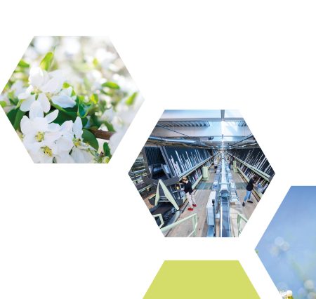 HP-Headerbilder-Einstieg-Geschichte HP-Headerbilder-Einstieg-Geschichte