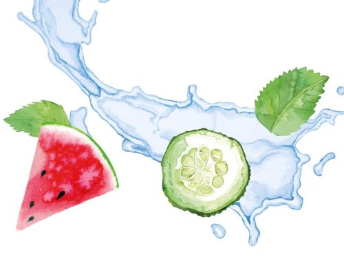 Illustration_HI_2_2026_Seite13_1