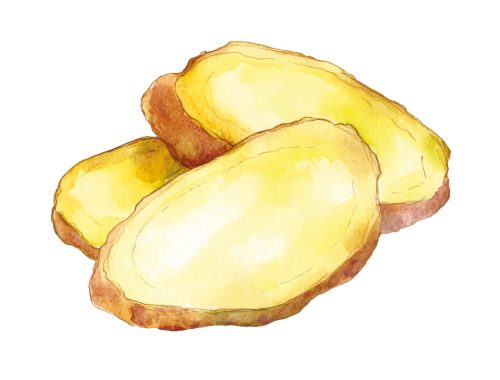 P25111_HI_1_2026_S13_2